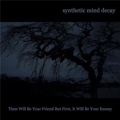 Synthetic Mind Decay - Time Will Be Your Friend But First, It Will Be Your Enemy download mp3 flac