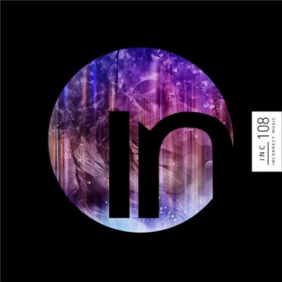 Audio Junkies Feat. Cari Golden - Bird On A Wire (Remixes) download mp3 flac