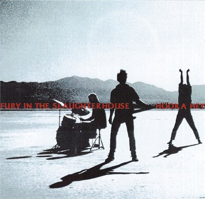 Fury In The Slaughterhouse - Hooka Hey download mp3 flac