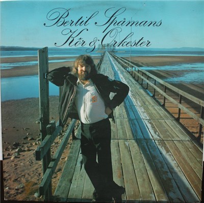 Bertil Spåmans Kör & Orkester - Bertil Spåmans Kör & Orkester download mp3 flac
