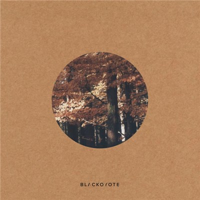 Blac Koyote - Quiet Ensemble download mp3 flac