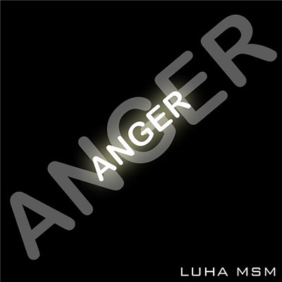 LuHa MsM - Anger download mp3 flac