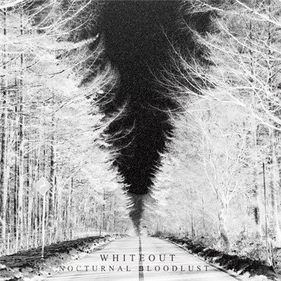 Nocturnal Bloodlust - Whiteout download mp3 flac