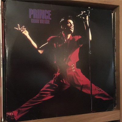 Prince - Cross The Line download mp3 flac