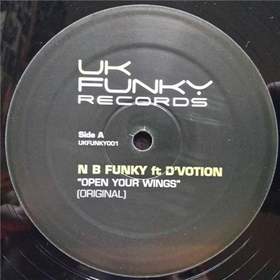 N.B Funky - Open Your Wings / 2nd Strike download mp3 flac
