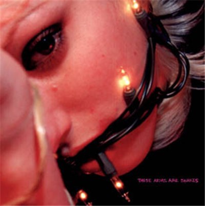 These Arms Are Snakes - This Is Meant To Hurt You download mp3 flac