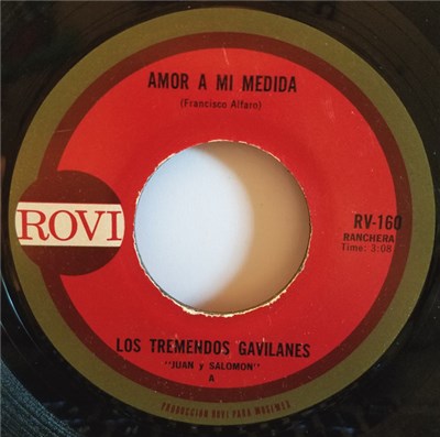 Los Tremendos Gavilanes - Amor A Mi Medida download mp3 flac