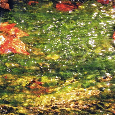 Dificil Equilibrio - Flood download mp3 flac