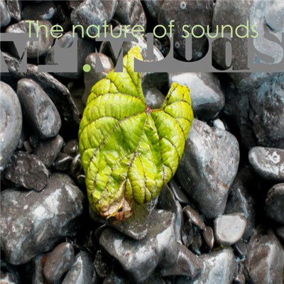 Mr. Moods - The Nature Of Sounds download mp3 flac