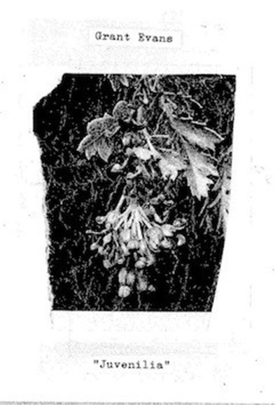 Grant Evans - Juvenilia download mp3 flac