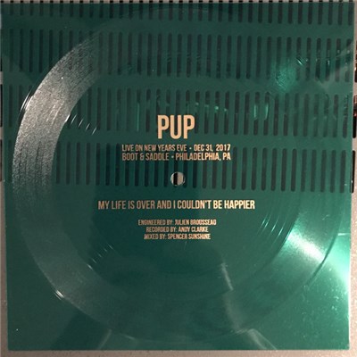 Pup - My Life is Over and I Couldn't Be Happier download mp3 flac