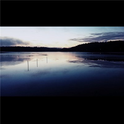 Mortaur - Unfulfilled download mp3 flac