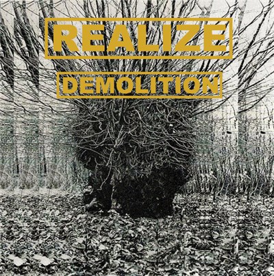 Realize - Demolition download mp3 flac