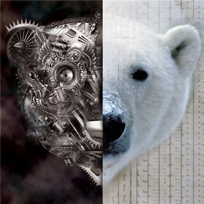 Whitebear - Inanimate Incarnate download mp3 flac
