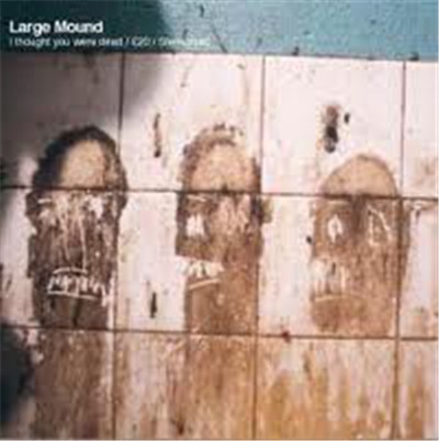Large Mound - I Thought You Were Dead download mp3 flac