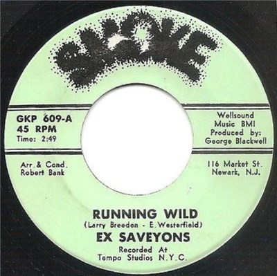 Ex Saveyons - Running Wild / Where Do I Go From Here download mp3 flac