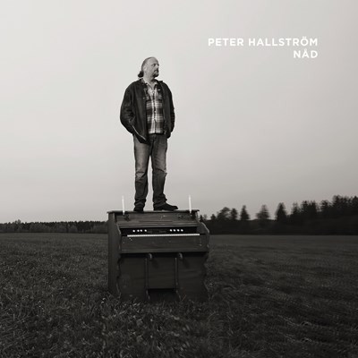 Peter Hallström - Nåd download mp3 flac