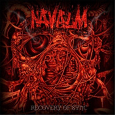 Navalm - Recovery Of Sync download mp3 flac