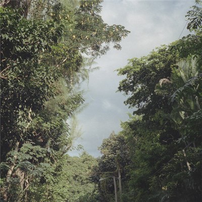 Zac Nelson - New Once download mp3 flac