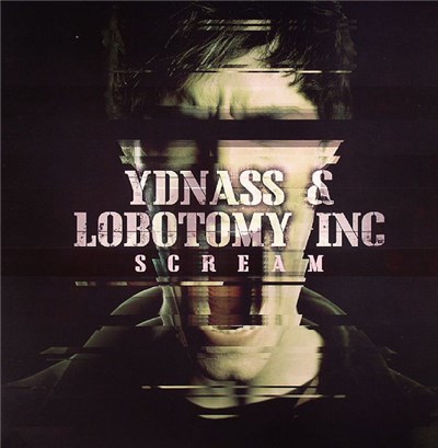 Ydnass & Lobotomy Inc - Scream download mp3 flac
