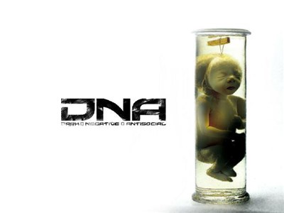 E-Noid - Hellparty download mp3 flac