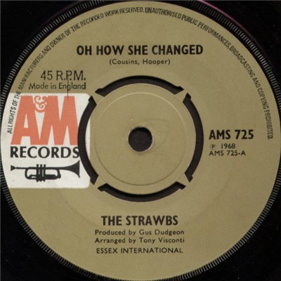 Strawbs - Oh How She Changed download mp3 flac