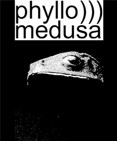 Phyllomedusa - Leafwalker Primitive download mp3 flac