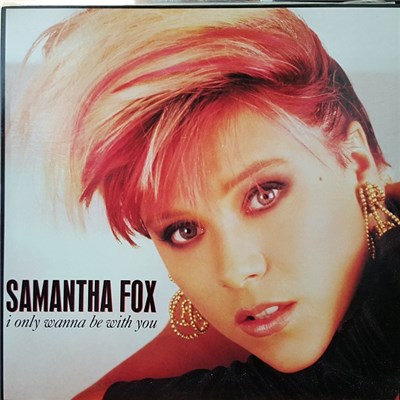 Samantha Fox - I Only Wanna Be With You download mp3 flac