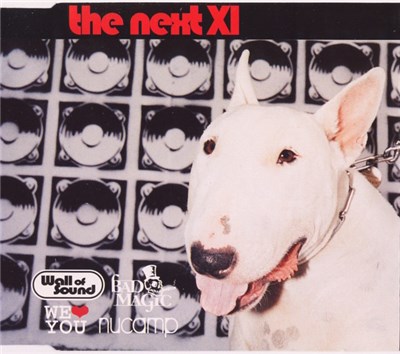 Various - The Next XI download mp3 flac