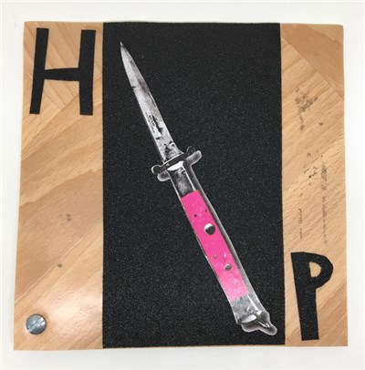 The Hatepinks - Play The Songs From The Plastic Congelators download mp3 flac