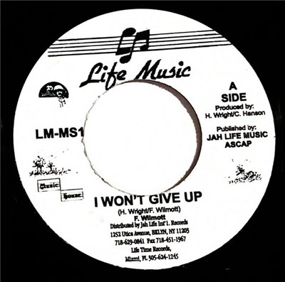 F. Wilmott - I Won't Give Up download mp3 flac