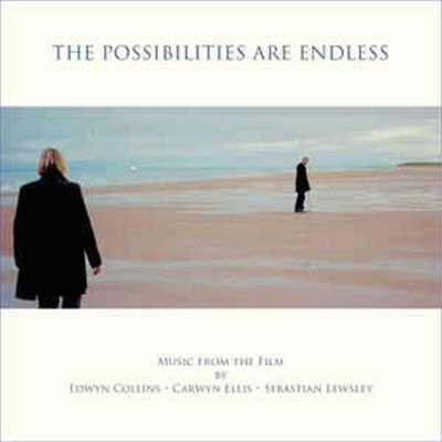 Edwyn Collins, Carwyn Ellis And Sebastian Lewsley - The Possibilities Are Endless download mp3 flac