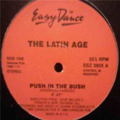 The Latin Age - Push In The Bush download mp3 flac