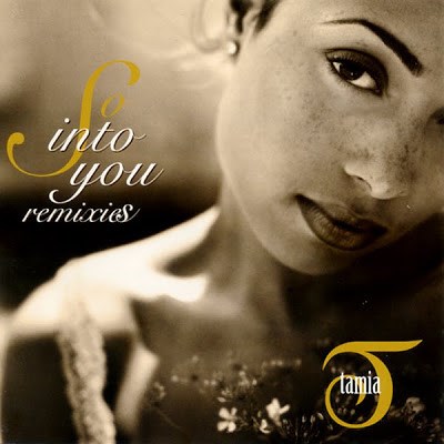 Tamia - So Into You (Remixes) download mp3 flac