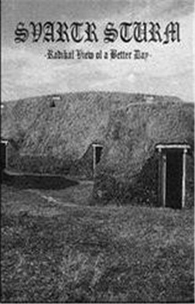 Svartr Sturm - Radikal View Of A Better Day download mp3 flac