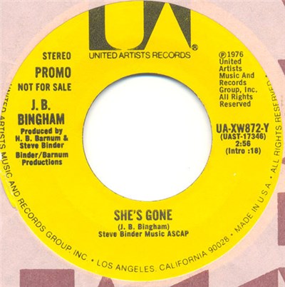 J. B. Bingham - She's Gone download mp3 flac