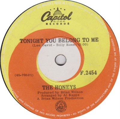 The Honeys - Tonight You Belong To Me download mp3 flac