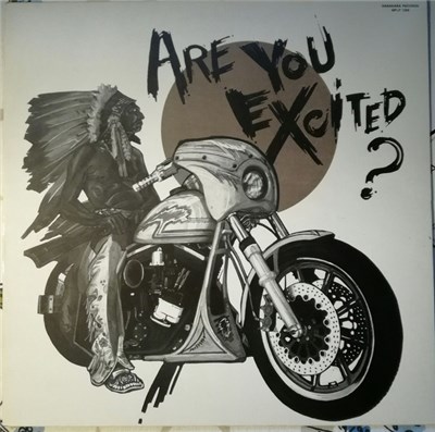 Various - Are You Excited? - "Rockin' Party" download mp3 flac