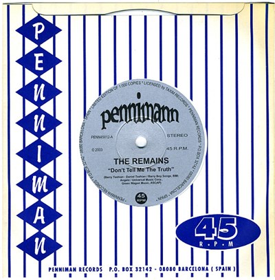 The Remains - Don't Tell Me The Truth download mp3 flac