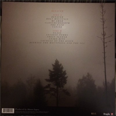 Senses Fail - Renacer download mp3 flac