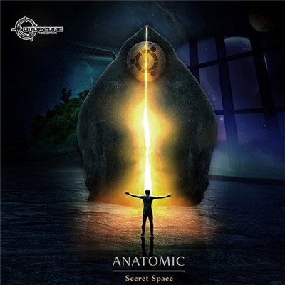 Anatomic - Secret Space download mp3 flac