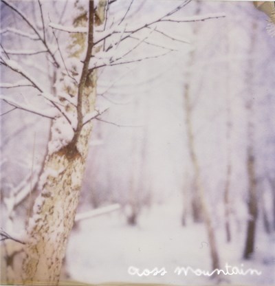 Entertainment For The Braindead - Cross Mountain download mp3 flac