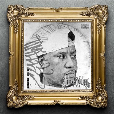 Shabaam Sahdeeq - Timeless Of The Collection download mp3 flac
