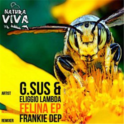 G.Sus & Eliggio Lambda - Felina EP download mp3 flac