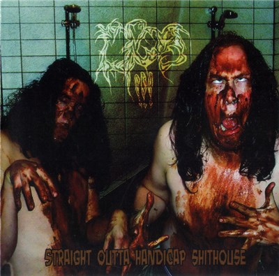 DPOS!!! - Straight Outta Handicap Shithouse download mp3 flac