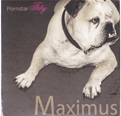 Maximus - Pornstar Tity download mp3 flac