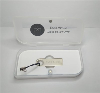 Mick Chillage - Exulansis download mp3 flac
