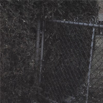 Bloom - And Nothing At All download mp3 flac