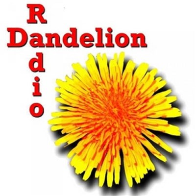 exedra - Dandelion Radio Session download mp3 flac