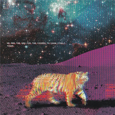 We Are The Way For The Cosmos To Know Itself - Tiger download mp3 flac